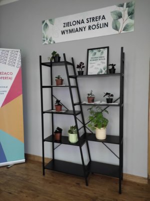01-2-300x400 W Filii GOK w Toporowicach tworzymy Zieloną Strefę Wymiany Roślin
