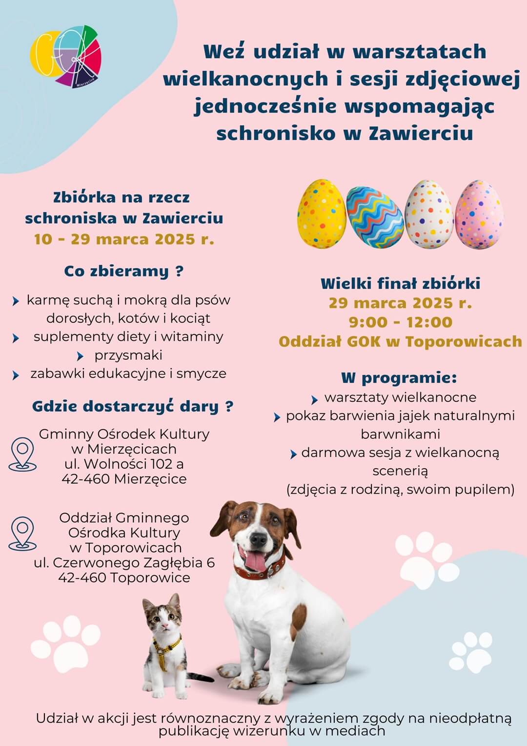 1 Przekaż karmę na rzecz schroniska w Zawierciu i wykonaj zdjęcie!