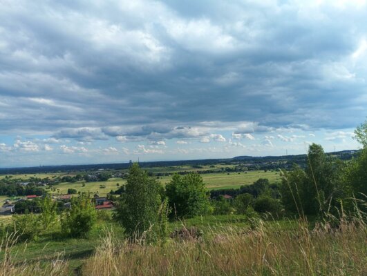 II-kat.-I-miejsce-Zofia-Kyrcz-2-531x400 Gminny Konkurs Fotograficzny pt. ,,Lato w Gminie Mierzęcice” rozstrzygnięty!