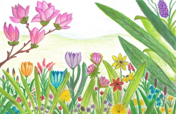 mini-1-616x400 Strona główna